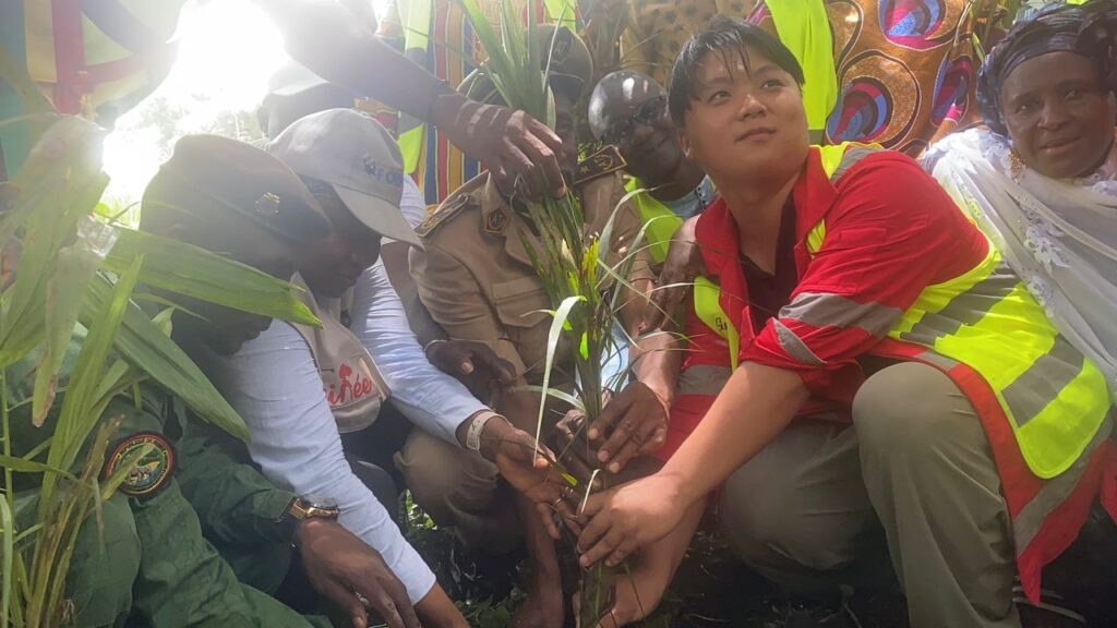 FODISAC en action : 10 hectares de palmiers et d’hévéas plantés à Sogoboly, berceau du roi Dinah Salifou Camara – FODISAC marche vers l’espace vert.