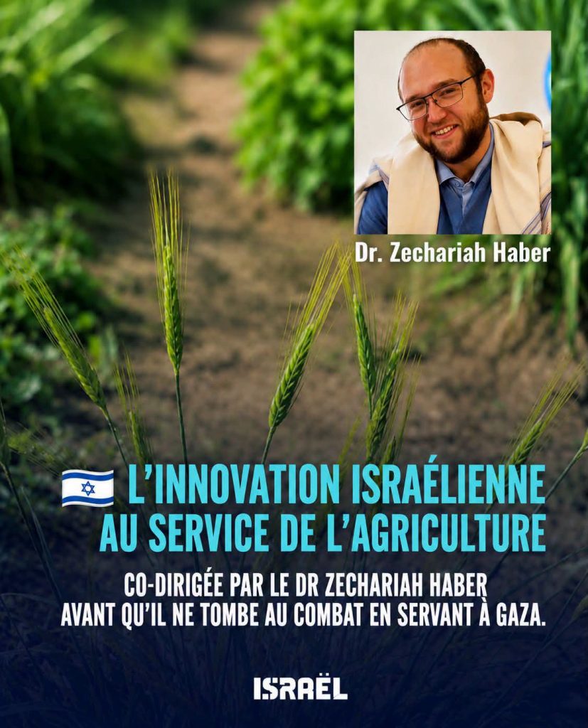 Israël : une découverte scientifique majeure ouvre de nouvelles perspectives pour la sécurité alimentaire mondiale