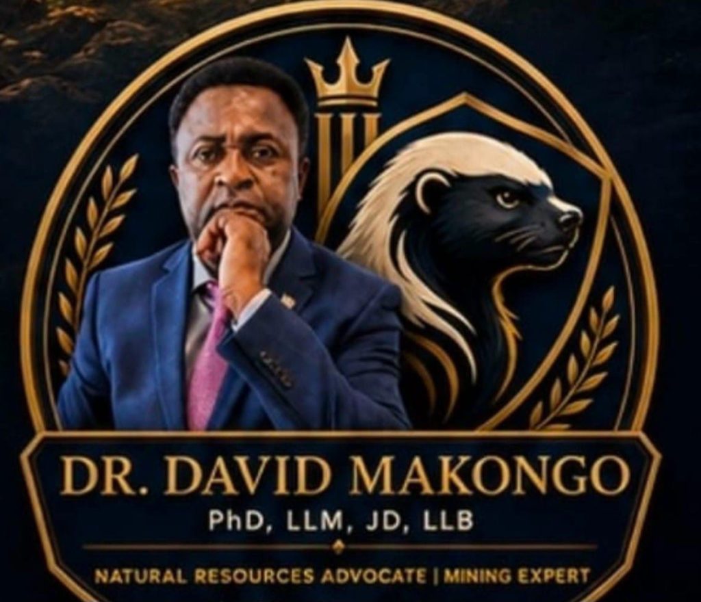 Dr. David Makongo : une nouvelle vision minière pour le Cameroun, de l’extraction de l’or à l’industrialisation nationale