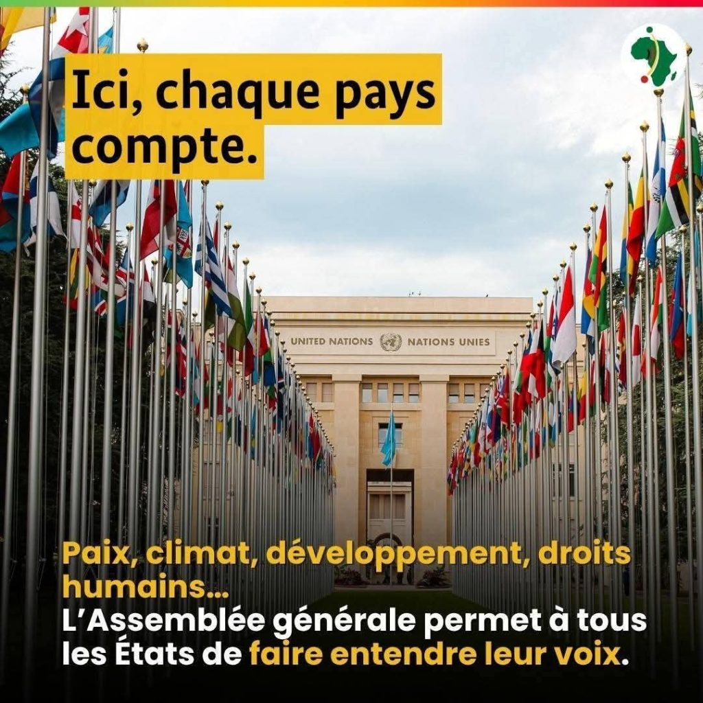 Assemblée générale de l’ONU : l’Allemagne plaide pour une organisation plus forte et représentative